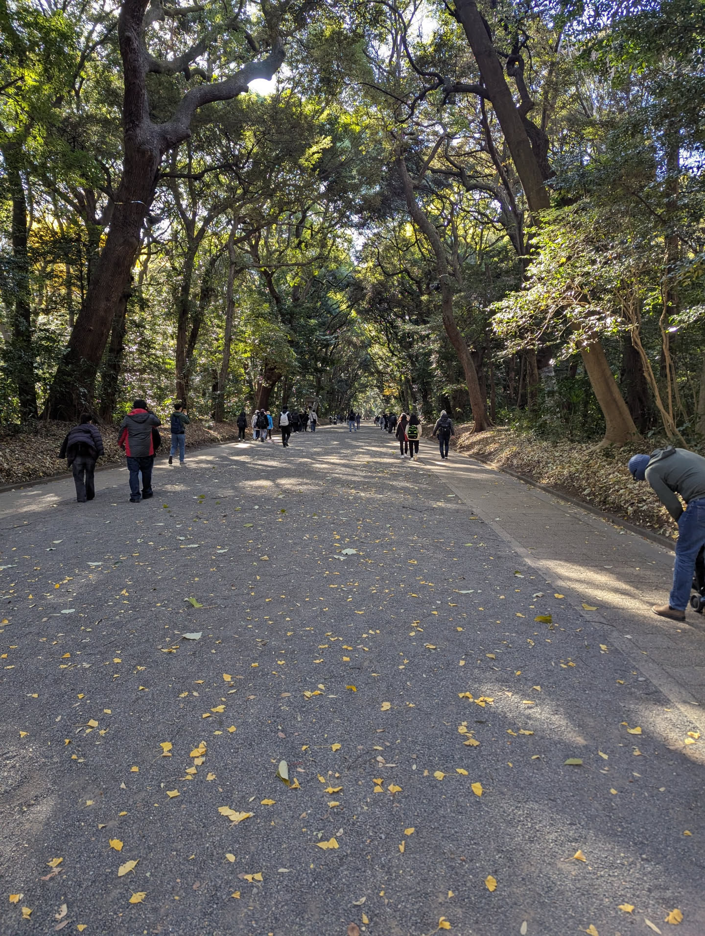 Meiji Jingu 明治神宮