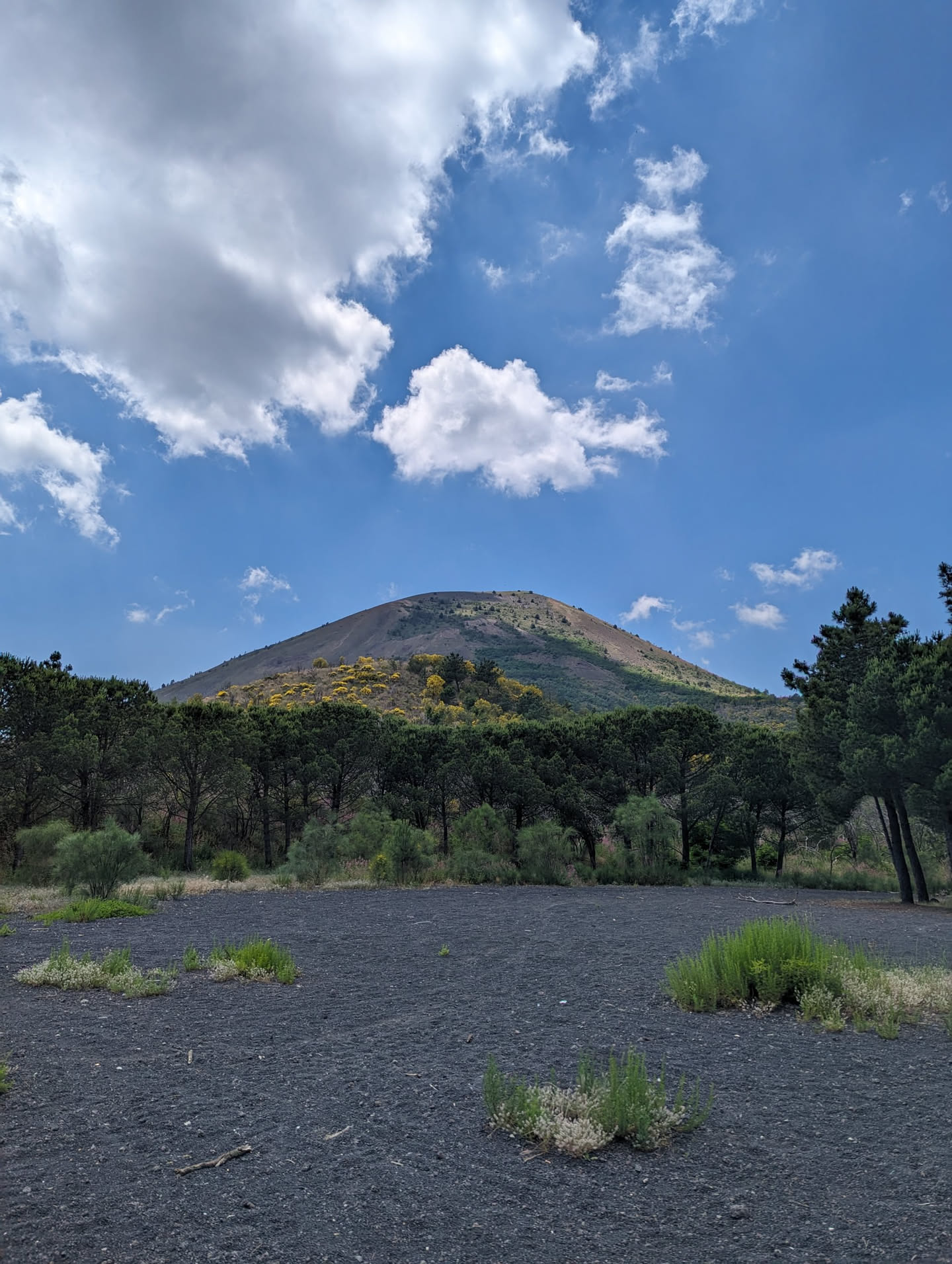 The Descent of Vesuvio
